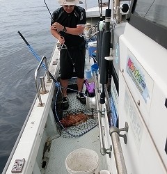 第二清洋丸 釣果