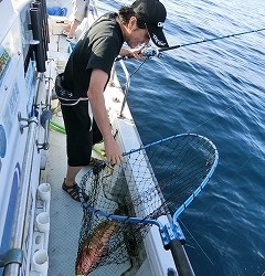 第二清洋丸 釣果