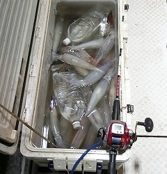 第二清洋丸 釣果