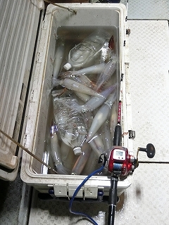 第二清洋丸 釣果