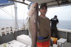 ワープゾーン 釣果 投稿