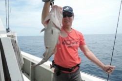 ワープゾーン 釣果 投稿