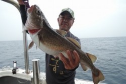 ワープゾーン 釣果 投稿