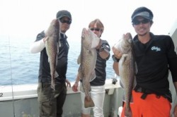 ワープゾーン 釣果 投稿