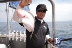 ワープゾーン 釣果 投稿