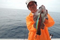 ワープゾーン 釣果 投稿