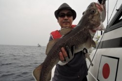 ワープゾーン 釣果 投稿