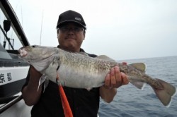 ワープゾーン 釣果 投稿