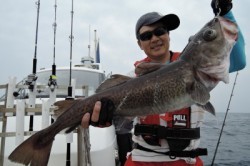 ワープゾーン 釣果 投稿