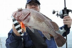 ワープゾーン 釣果 投稿