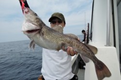 ワープゾーン 釣果 投稿