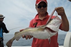 ワープゾーン 釣果 投稿