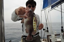 ワープゾーン 釣果