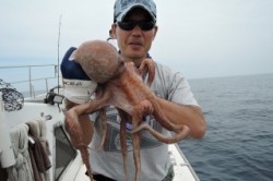 ワープゾーン 釣果