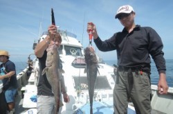 ワープゾーン 釣果