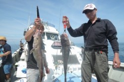 ワープゾーン 釣果