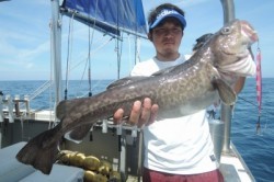 ワープゾーン 釣果