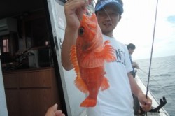 ワープゾーン 釣果