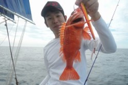 ワープゾーン 釣果