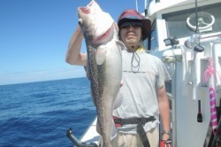 ワープゾーン 釣果