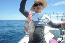 ワープゾーン 釣果