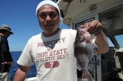 ワープゾーン 釣果