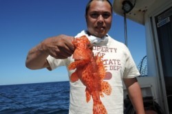 ワープゾーン 釣果