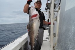 ワープゾーン 釣果