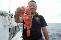 ワープゾーン 釣果