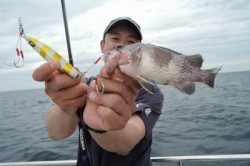 ワープゾーン 釣果