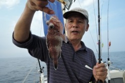 ワープゾーン 釣果