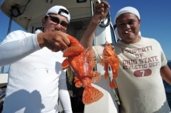 ワープゾーン 釣果