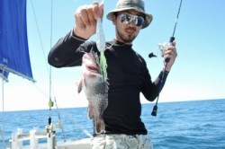 ワープゾーン 釣果