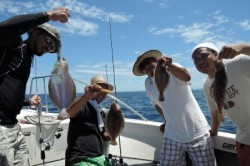 ワープゾーン 釣果