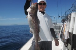 ワープゾーン 釣果