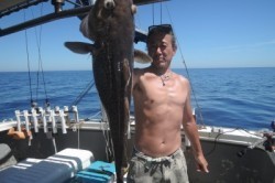 ワープゾーン 釣果