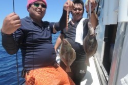 ワープゾーン 釣果