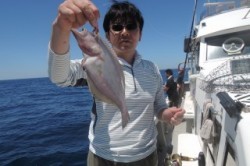 ワープゾーン 釣果