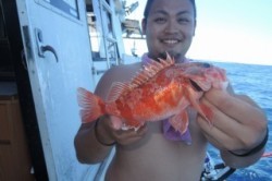 ワープゾーン 釣果