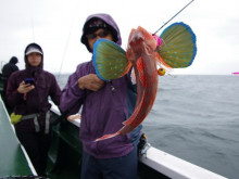 Big One　ビッグワン 釣果