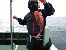 Big One　ビッグワン 釣果