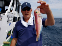 Big One　ビッグワン 投稿