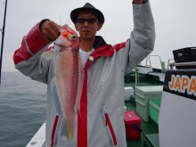 Big One ビッグワン 釣果 投稿