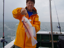 Big One ビッグワン 釣果 投稿