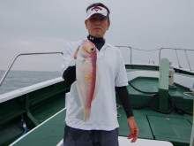 Big One ビッグワン 釣果 投稿