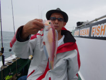 Big One ビッグワン 釣果 投稿