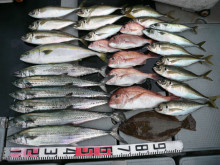 オーシャンスター(Ocean Star) …