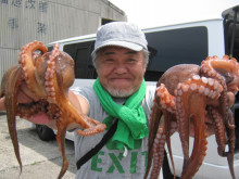 ＪＤＩ　Ｒａｃｉｎｇ　シールズマリンレジャー 釣果