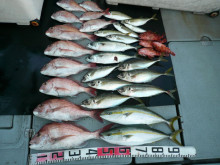 オーシャンスター(Ocean Star) …