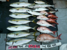 オーシャンスター(Ocean Star) …